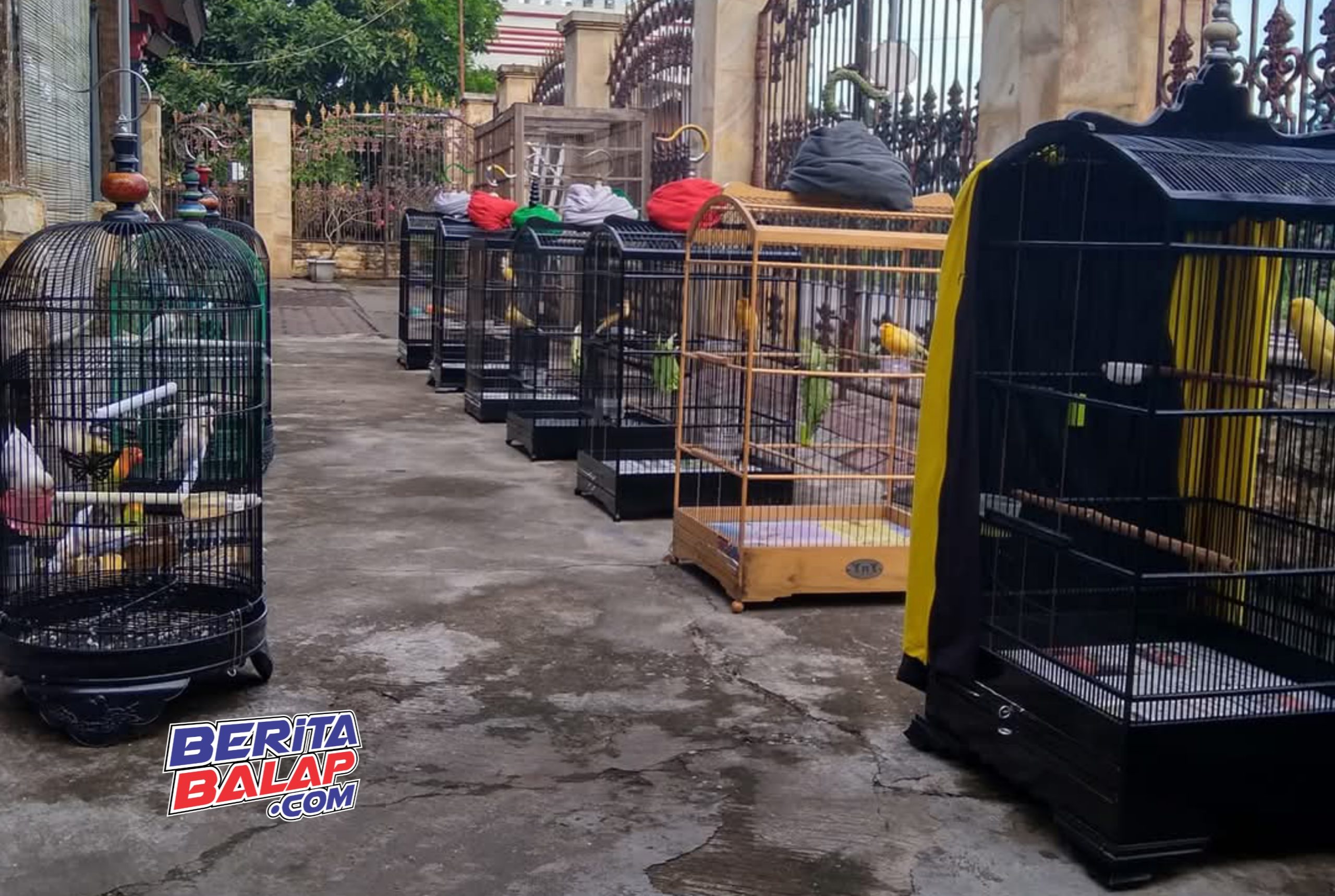 Koleksi Burung Faried TJS