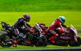 Ungul 10 Poin, Marquez Beberkan 8 Lap Duel Sengit Lawan Martin, Fokus Sampai Buyar